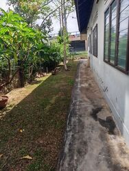 Frankel Estate (D15), Detached #549351091